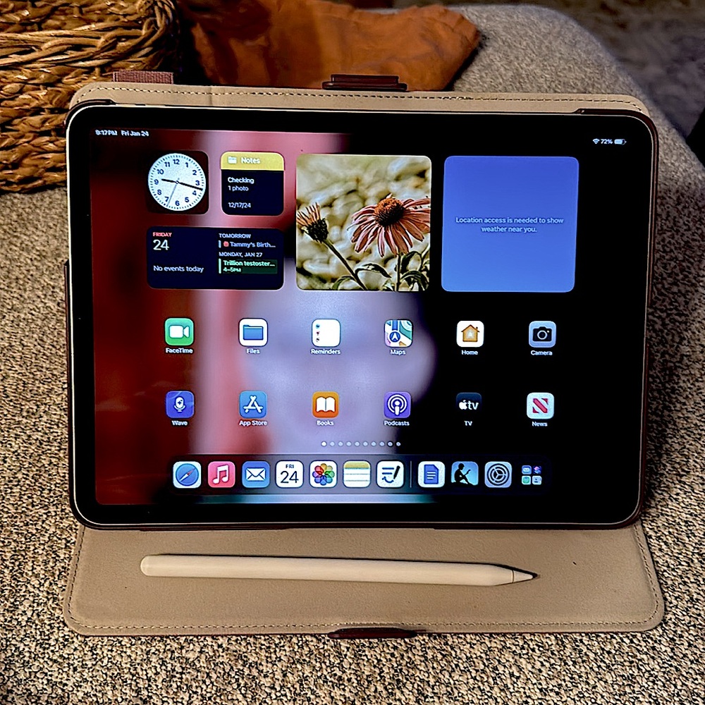 Apple Silver iPad Pro 4th Gen w/Apple Pencil and Speck Case